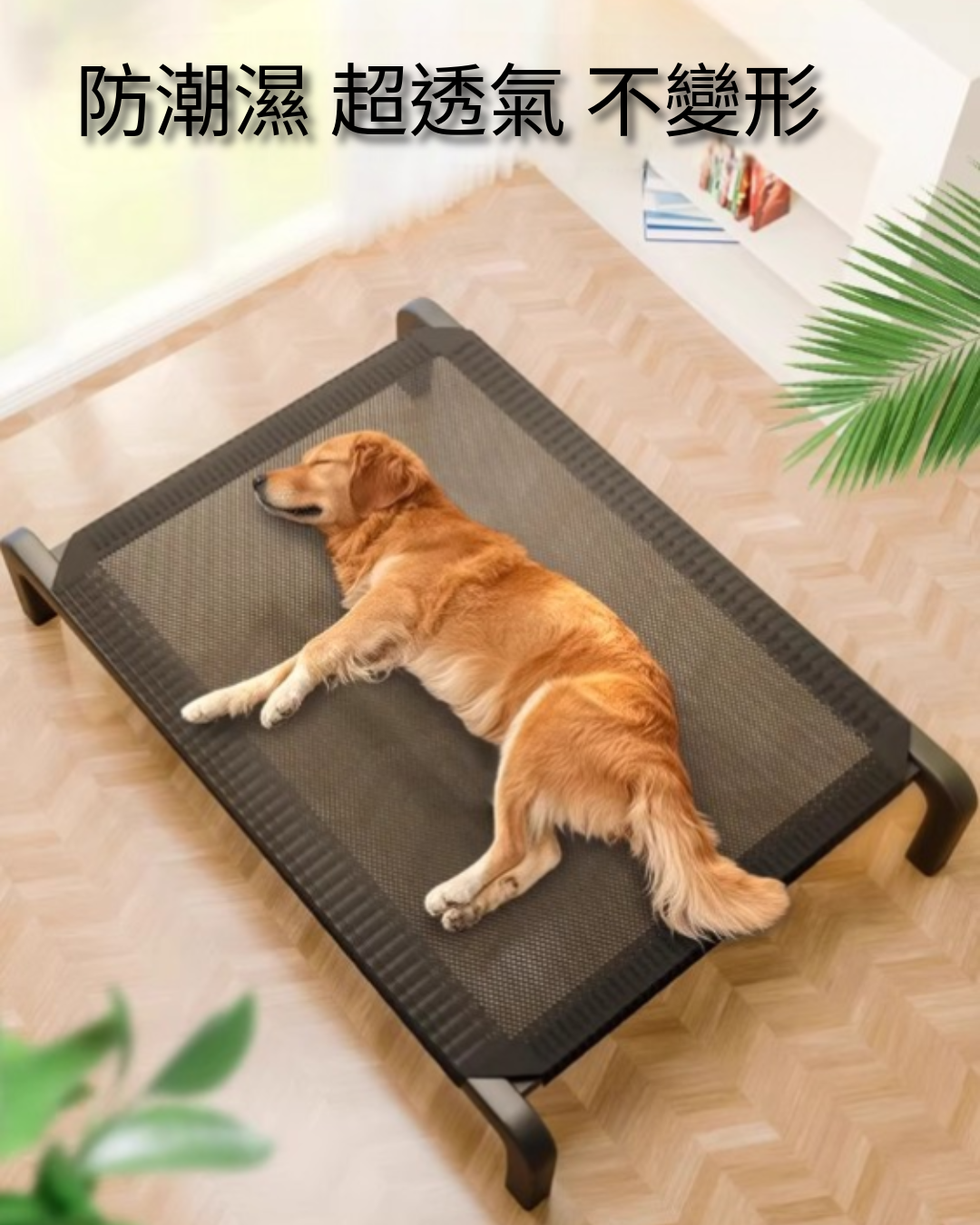狗狗行軍床