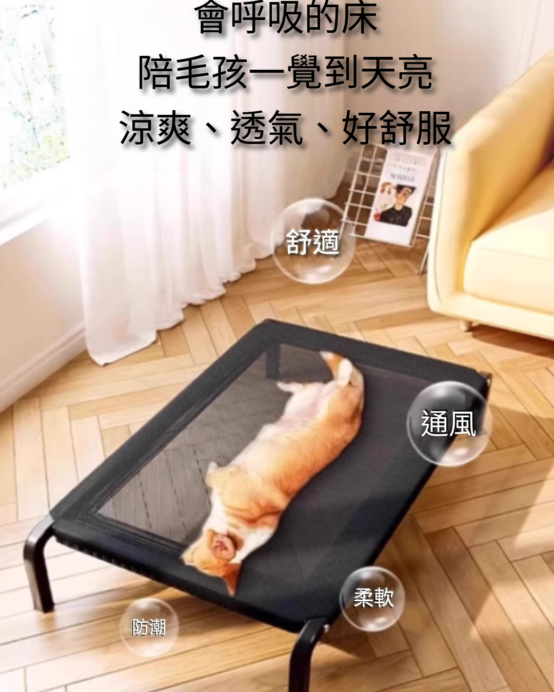 狗狗行軍床