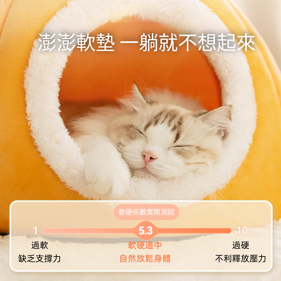 柿柿如意貓窩