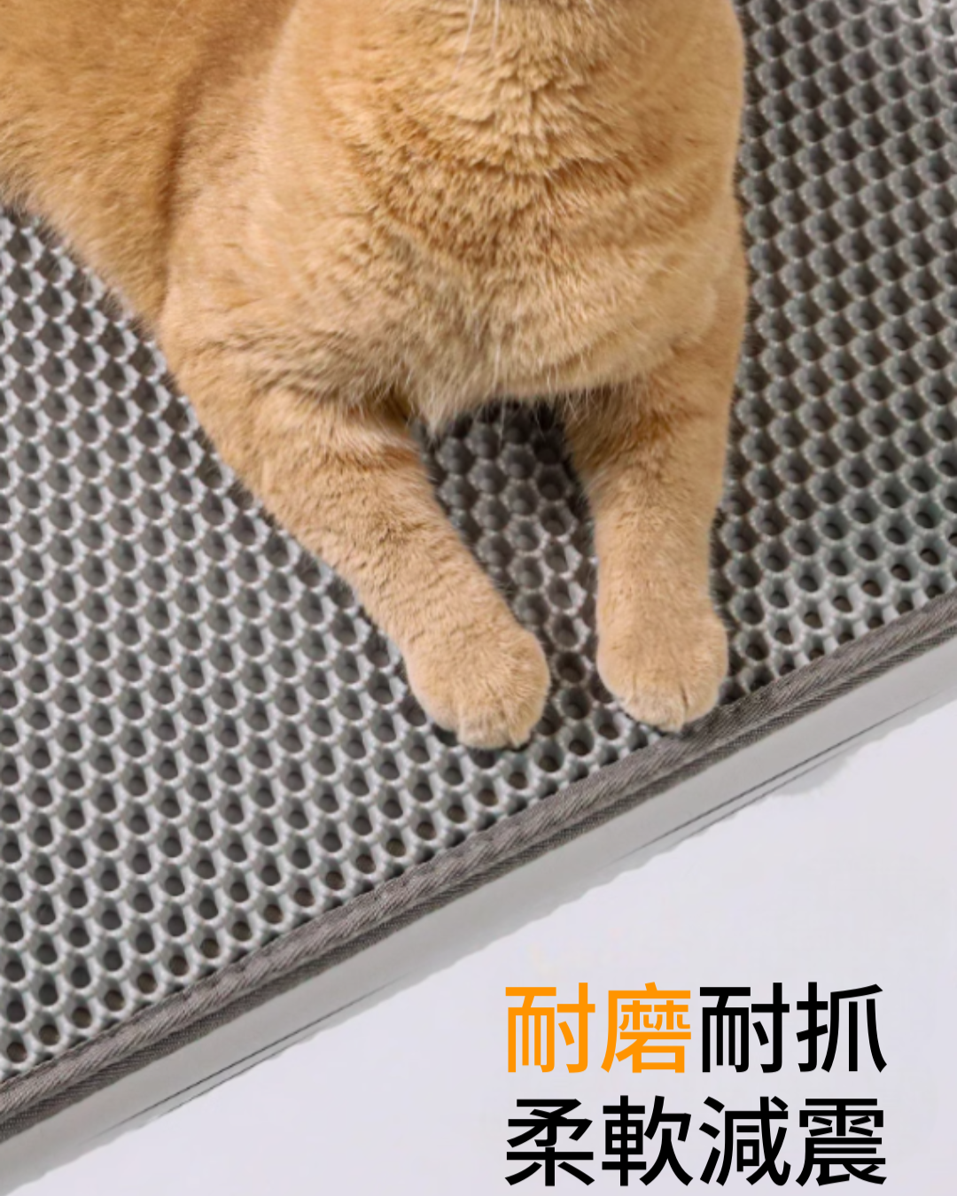 雙層蜂巢貓砂墊