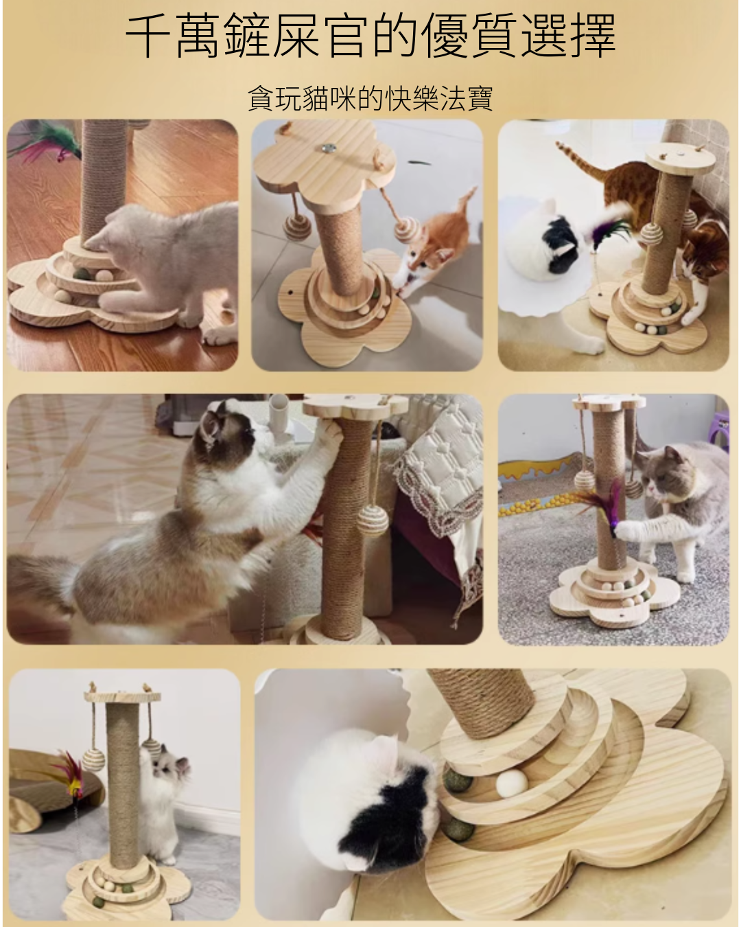 貓抓柱轉盤