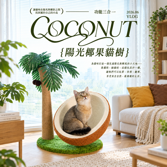 陽光椰果貓樹