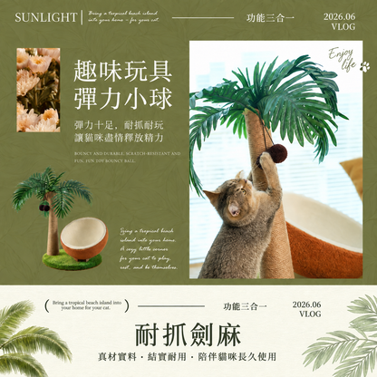 陽光椰果貓樹