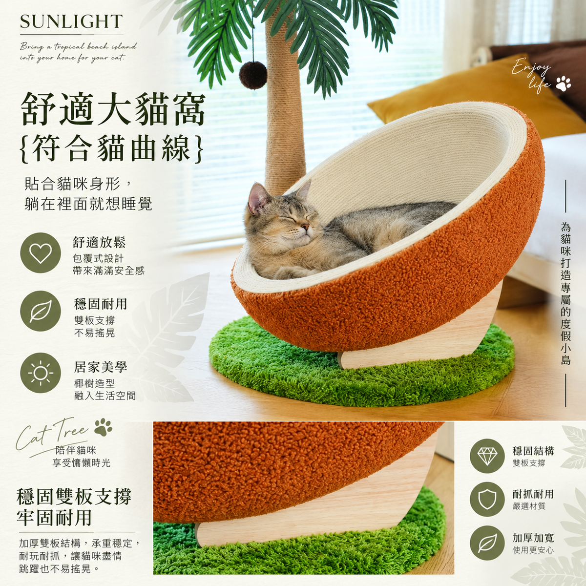 陽光椰果貓樹