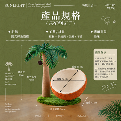 陽光椰果貓樹